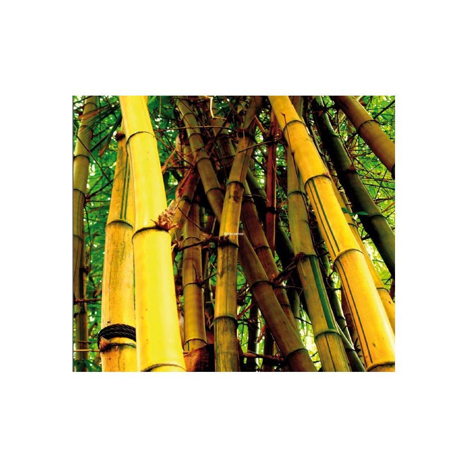 Eldeco Bambu 3D Duvar Panelleri Eldeco Bambu 3D Duvar Panelleri